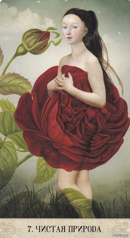 7. ЧИСТАЯ ПРИРОДА