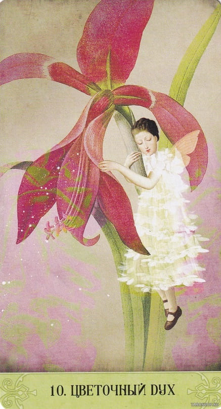 10. ДУХ ЦВЕТКА