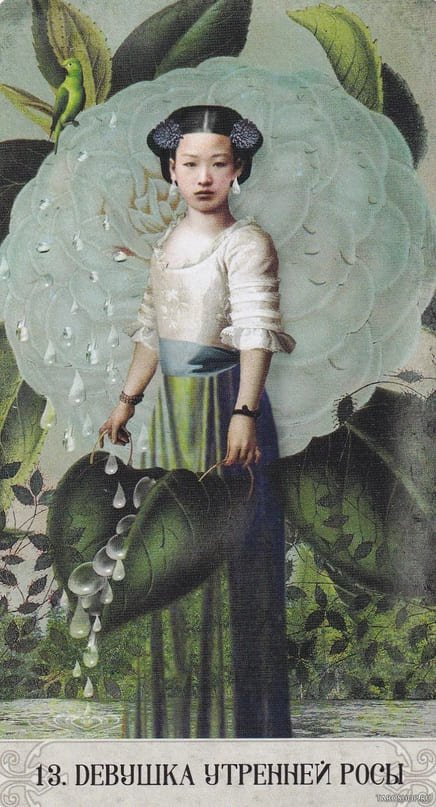 13. ДЕВУШКА УТРЕННЕЙ РОСЫ