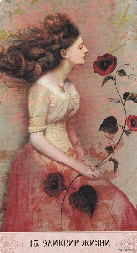 15. ЭЛИКСИР ЖИЗНИ