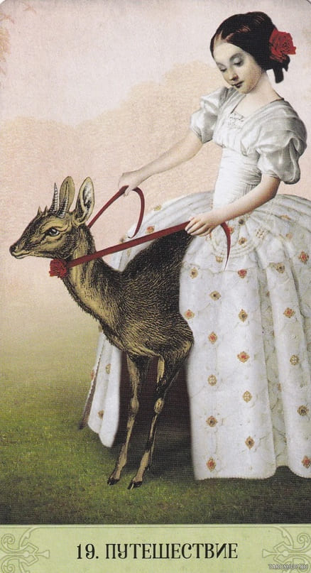 19. ПУТЕШЕСТВИЕ