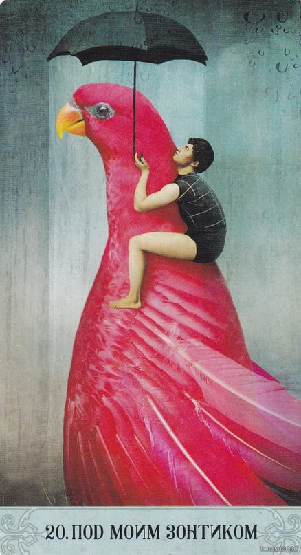 20. ПОД МОИМ ЗОНТОМ