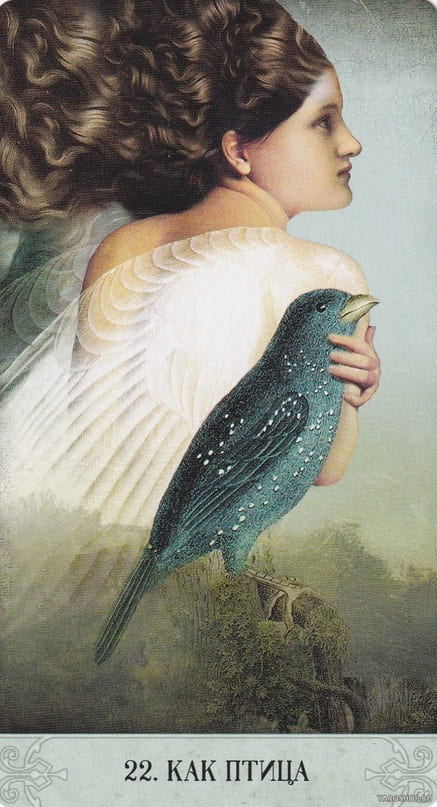 22. КАК ПТИЦА