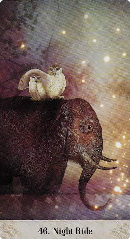 46. НОЧНАЯ ПОЕЗДКА — Оракул Мистических Моментов