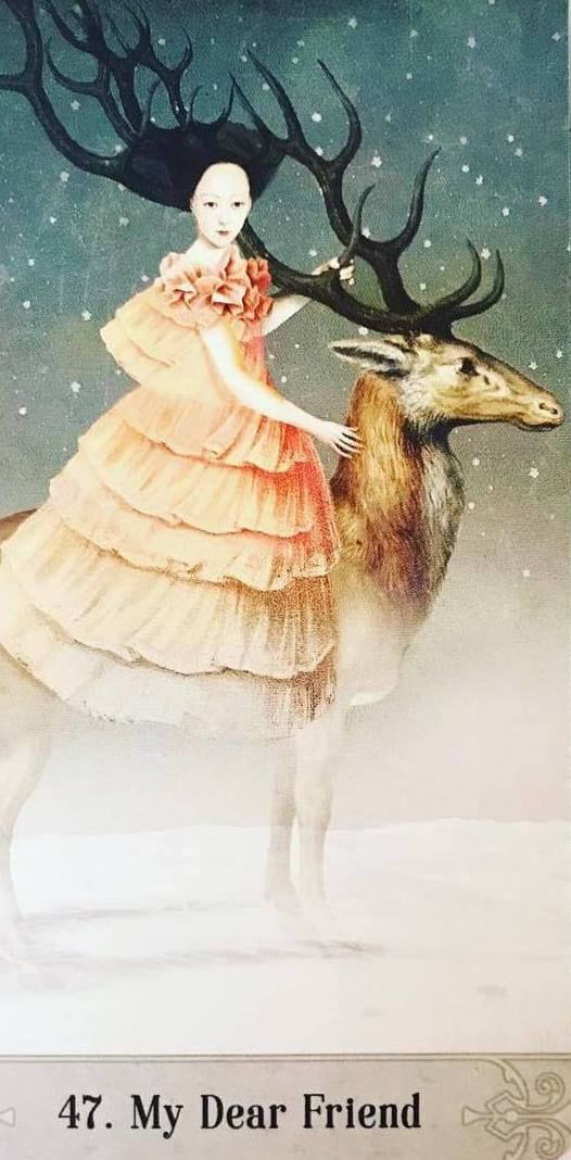 47. МОЙ ДОРОГОЙ ДРУГ