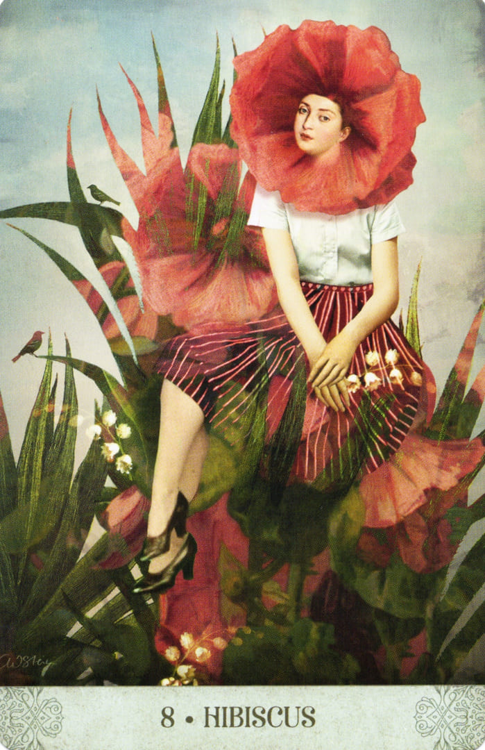 8. ГИБИСКУС — Botanical Dreams Oracle