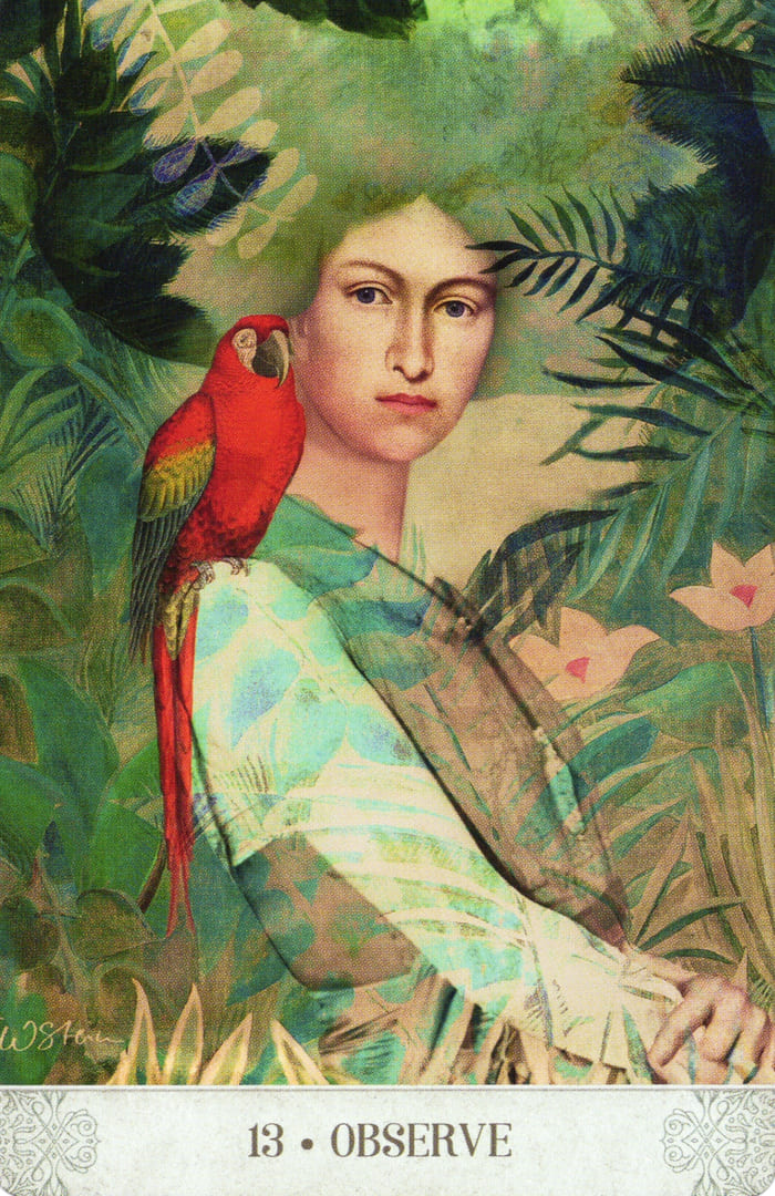 13. НАБЛЮДАЙ