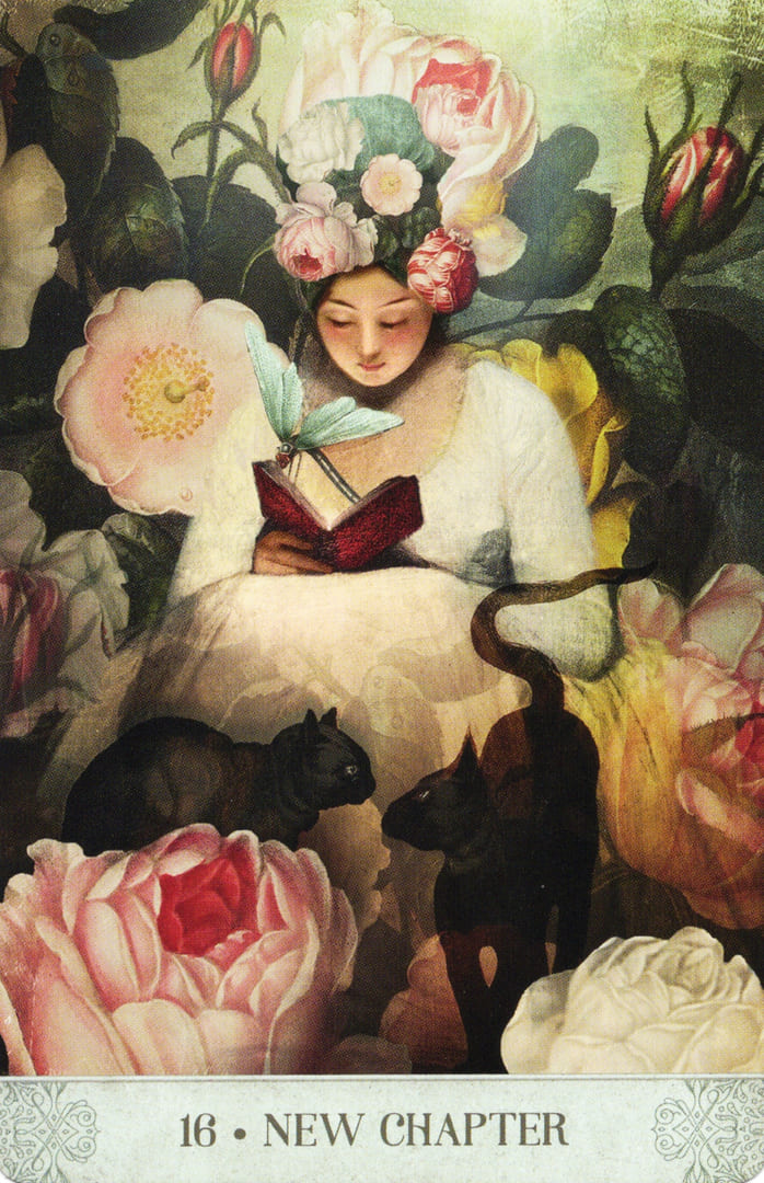 16. НОВАЯ ГЛАВА — Botanical Dreams Oracle