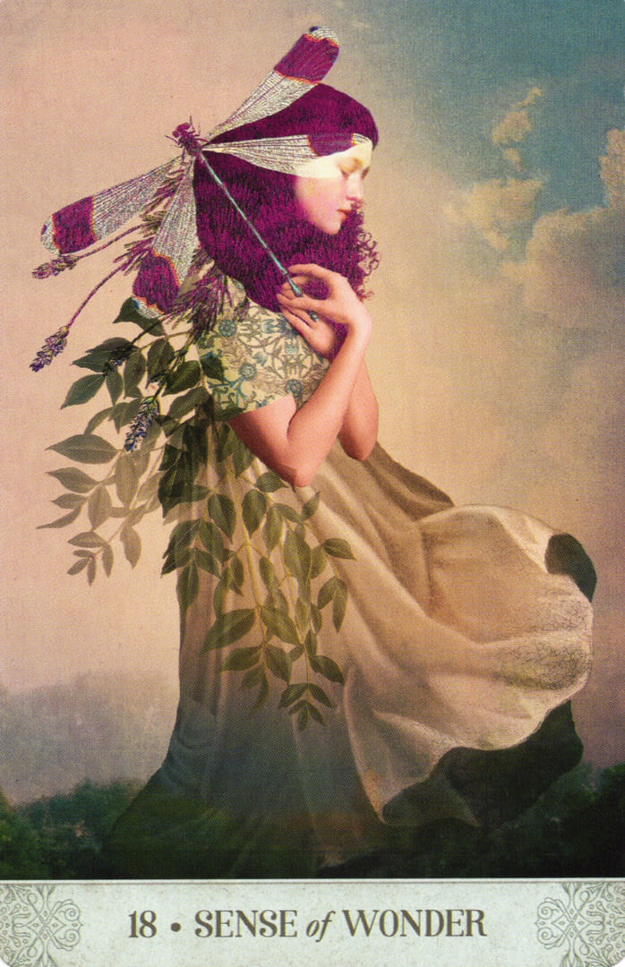 18. ЧУВСТВО УДИВЛЕНИЯ — Botanical Dreams Oracle