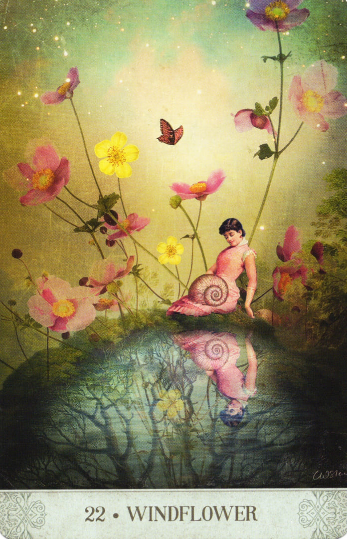 22. ВЕТРЕНИЦА — Botanical Dreams Oracle