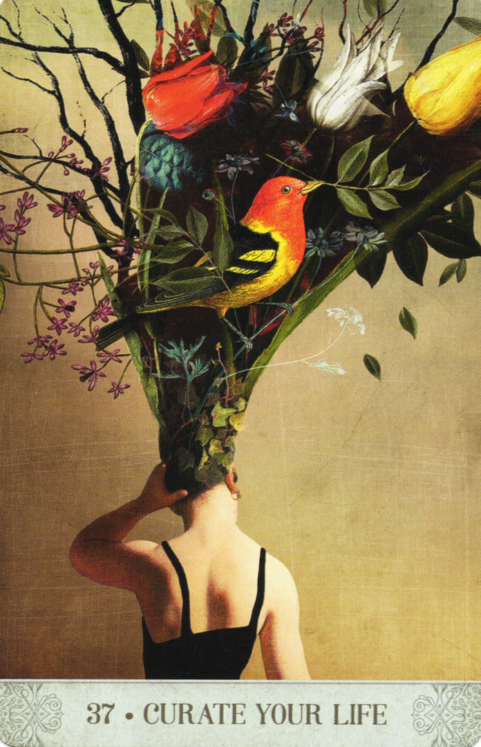 37. КУРИРУЙТЕ СВОЮ ЖИЗНЬ — Botanical Dreams Oracle