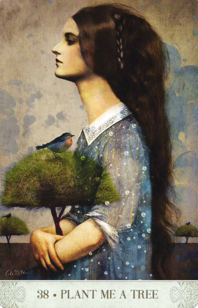 38. ПОСАДИ МНЕ ДЕРЕВО