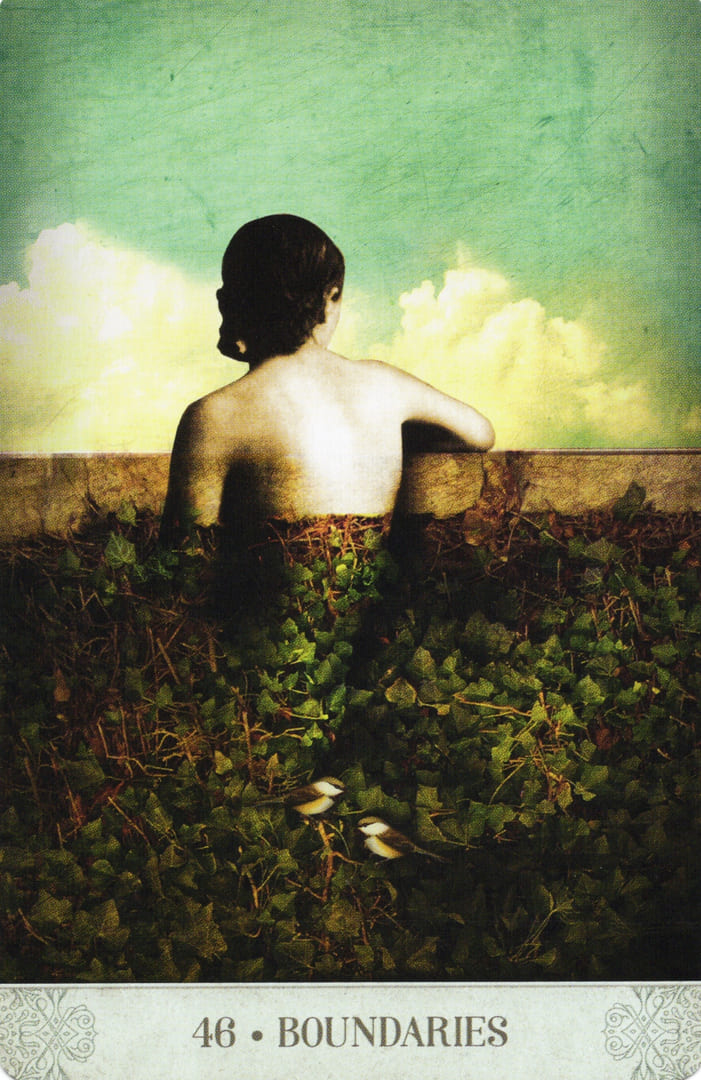 46. ГРАНИЦЫ — Botanical Dreams Oracle