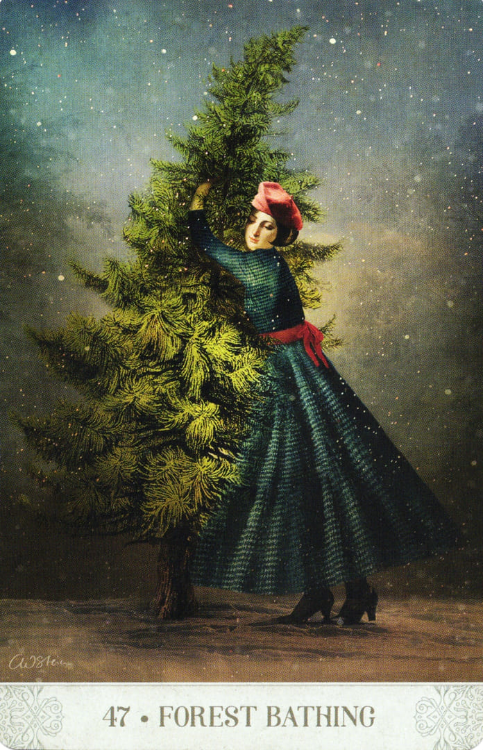 47. ЛЕСНЫЕ КУПАНИЯ