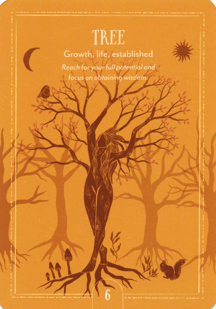 6. ДЕРЕВО — Earth Song Oracle