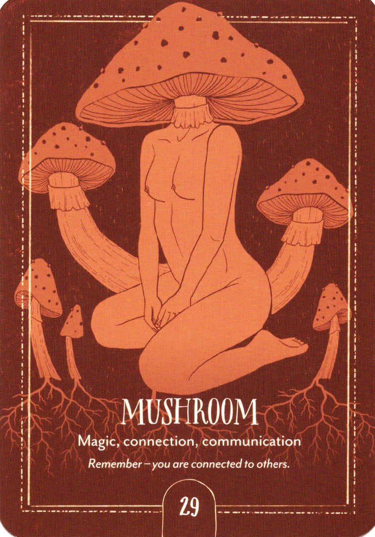 29. ГРИБ — Earth Song Oracle
