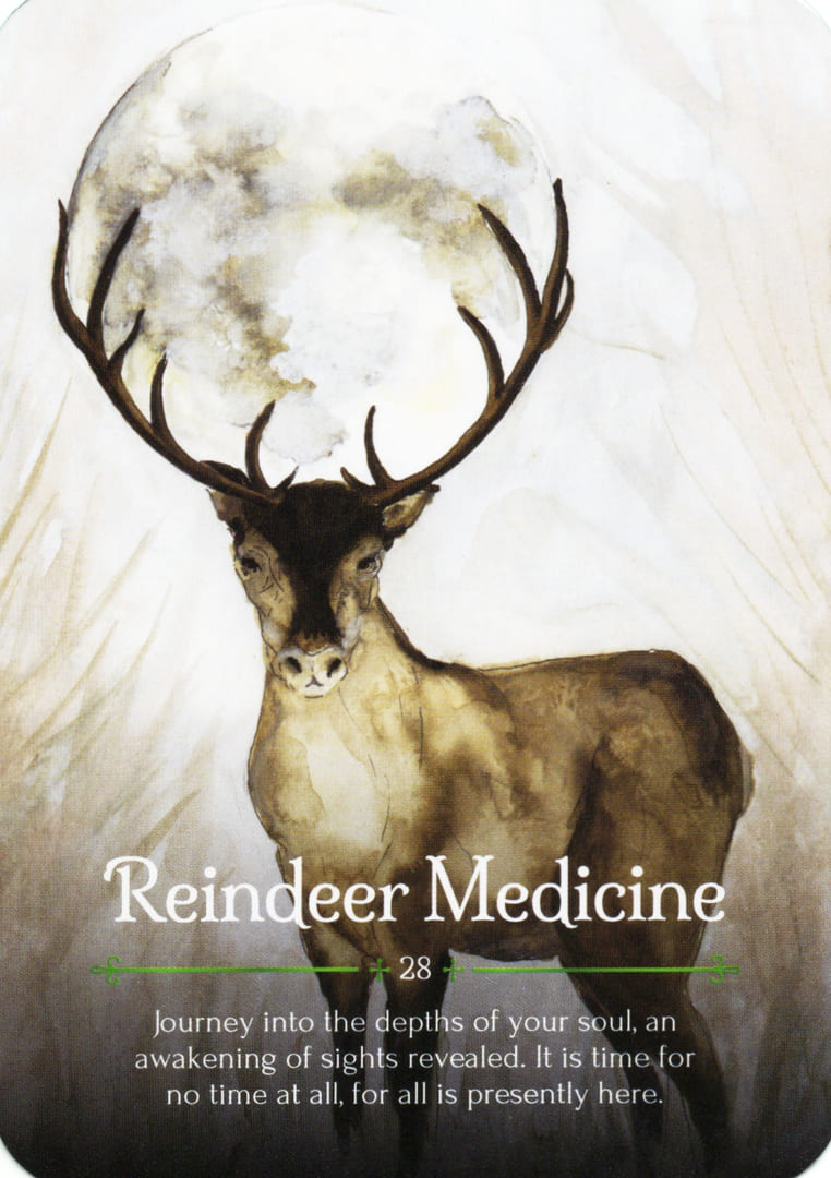 Лекарство Оленя — Оракул Йоль