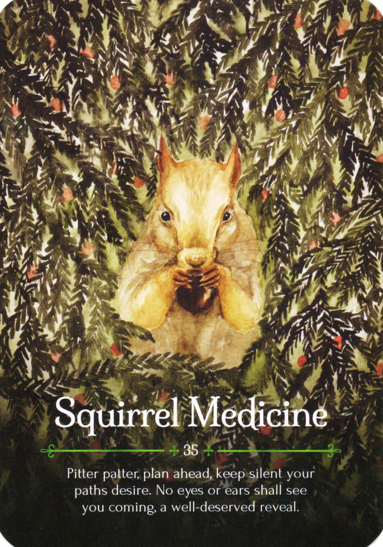 Лекарство Белки