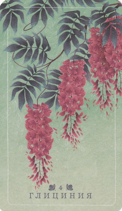 4 Глициния