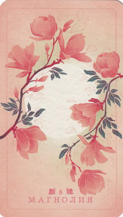 8 Магнолия