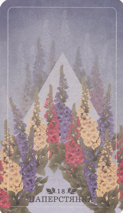 18 Наперстянка