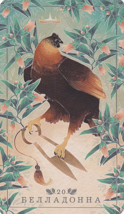 20 Белладонна