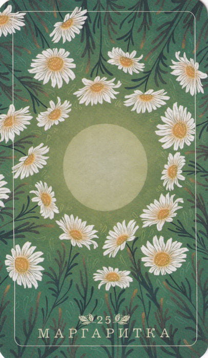 25 Маргаритка