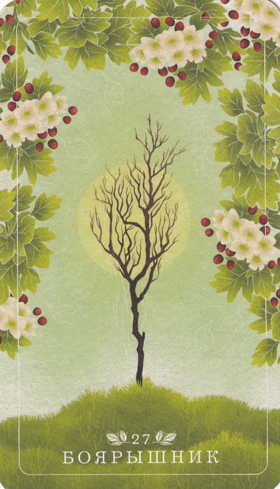27 Боярышник
