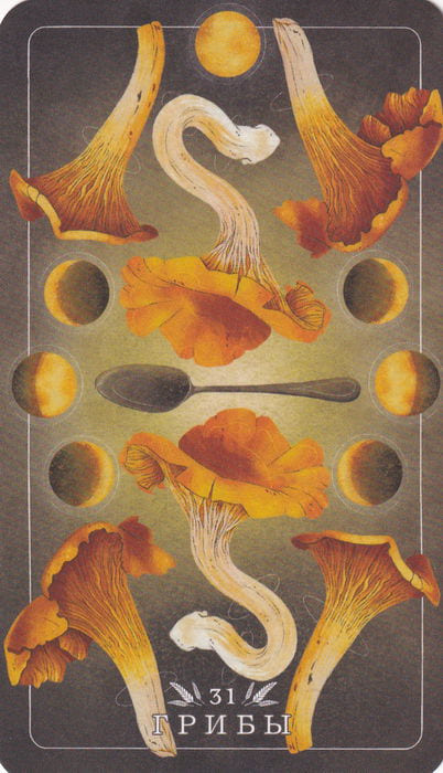 31 Грибы — Seed and Sickle Oracle