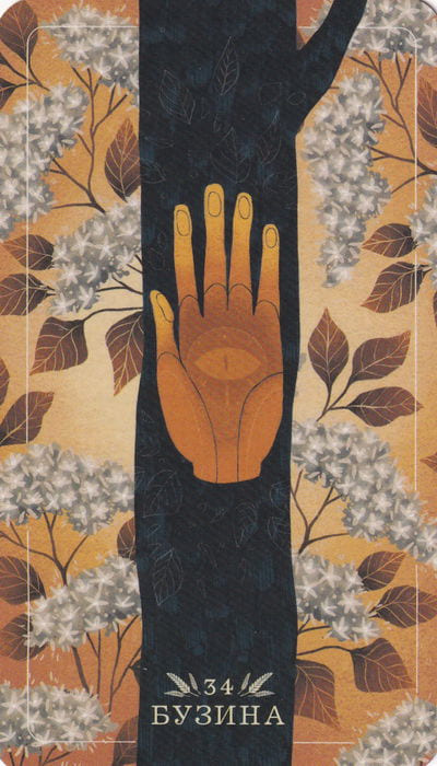33 Бузина — Seed and Sickle Oracle