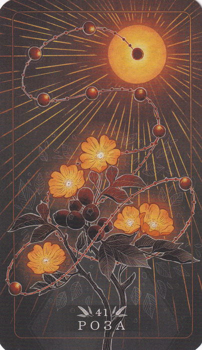 41 Роза — Seed and Sickle Oracle