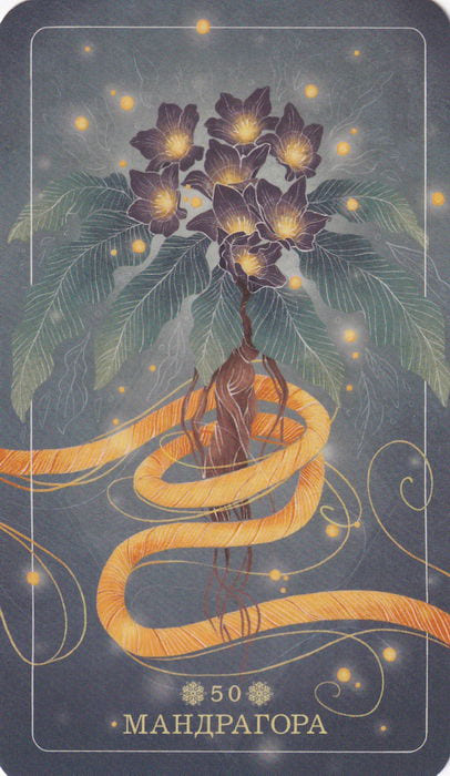 50 Мандрагора — Seed and Sickle Oracle