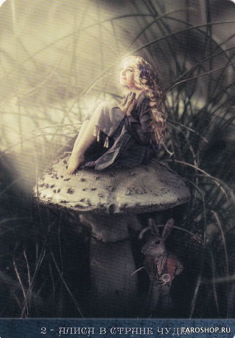 2 Алиса в Стране чудес