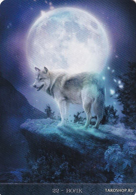 22 Волк — Оракул Ночи