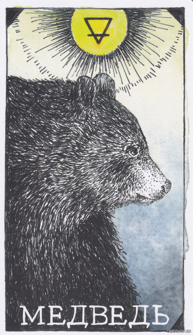 1 Медведь (Земля) — Дикое Неизвестное Тотемное Животное