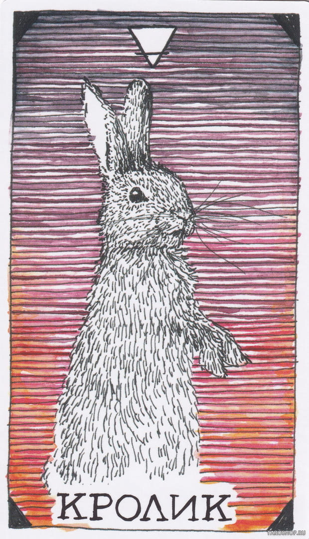 4 Кролик (Земля) — Дикое Неизвестное Тотемное Животное