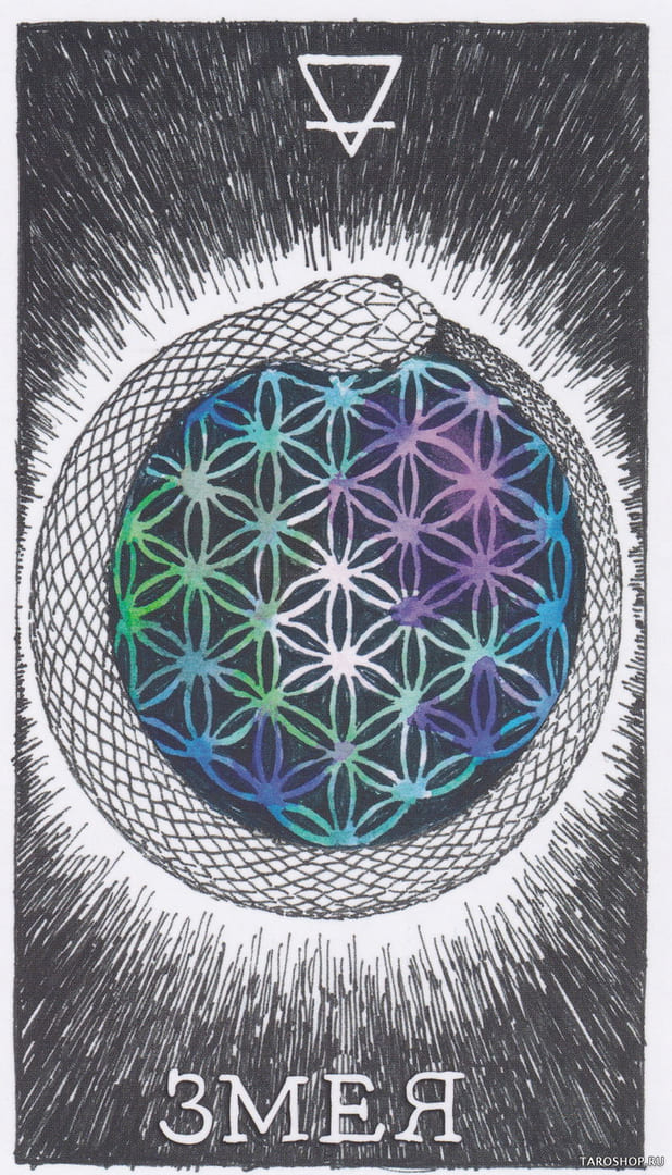 7 Змея (Земля) — Дикое Неизвестное Тотемное Животное