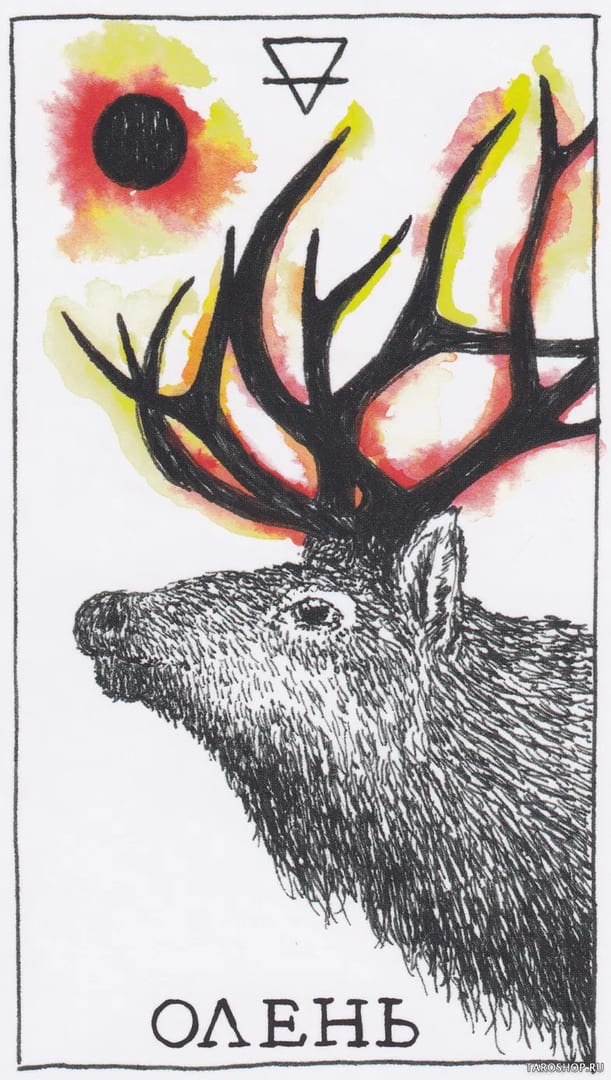 10 Олень (Земля) — Дикое Неизвестное Тотемное Животное