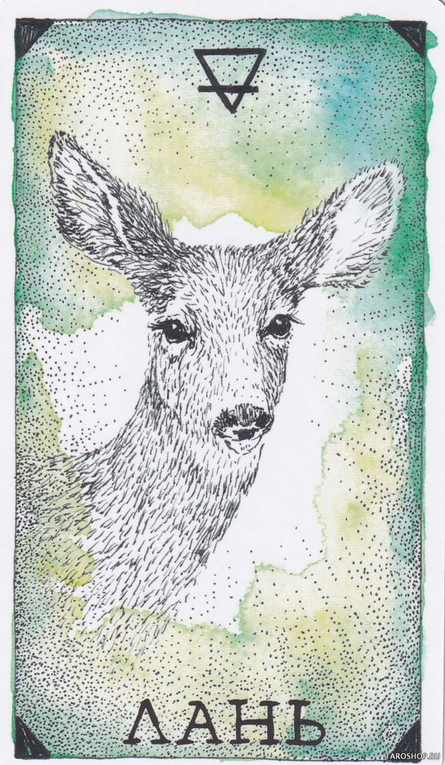 11 Лань (Земля) — Дикое Неизвестное Тотемное Животное