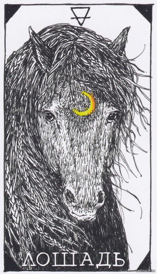13 Лошадь (Земля) — Дикое Неизвестное Тотемное Животное