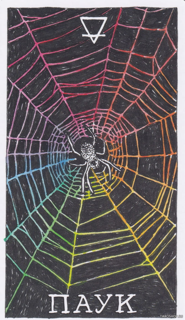 14 Паук (Земля) — Дикое Неизвестное Тотемное Животное