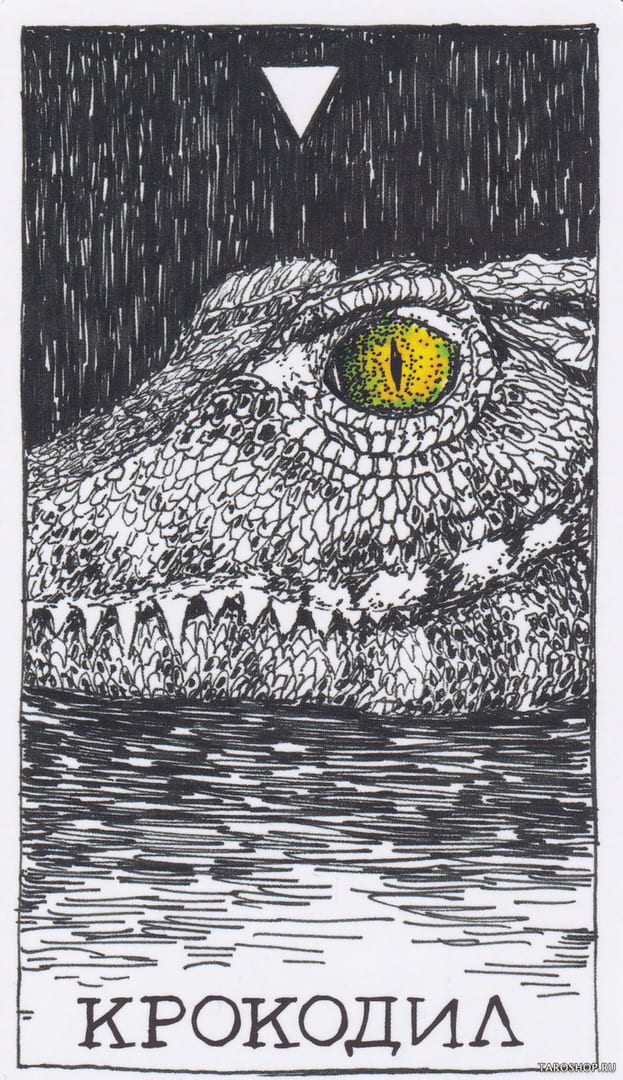 1 Крокодил (Вода) — Дикое Неизвестное Тотемное Животное
