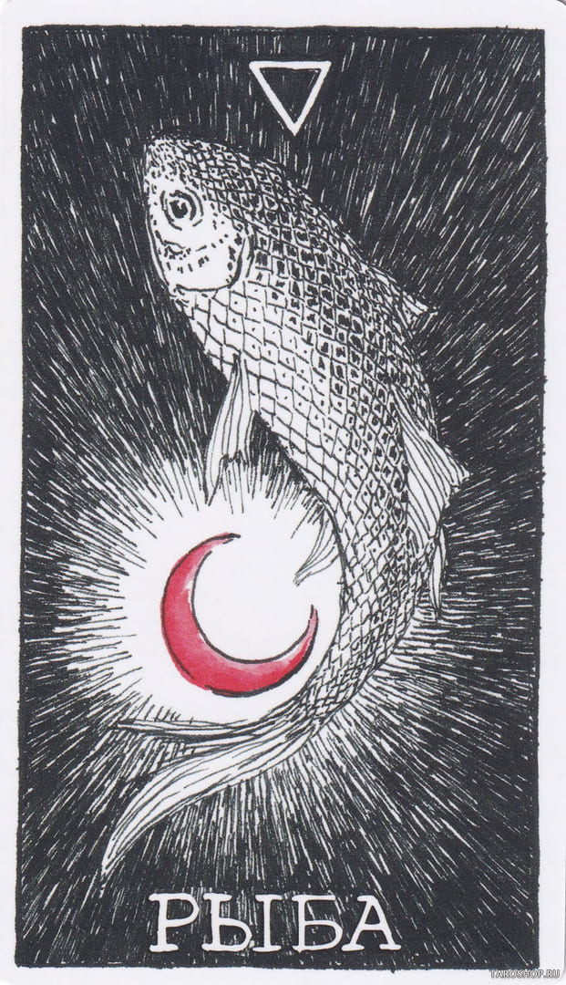 3 Рыба (Вода)