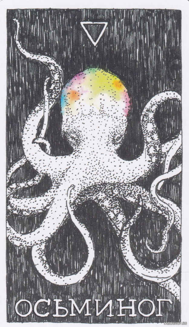 5 Осьминог (Вода)