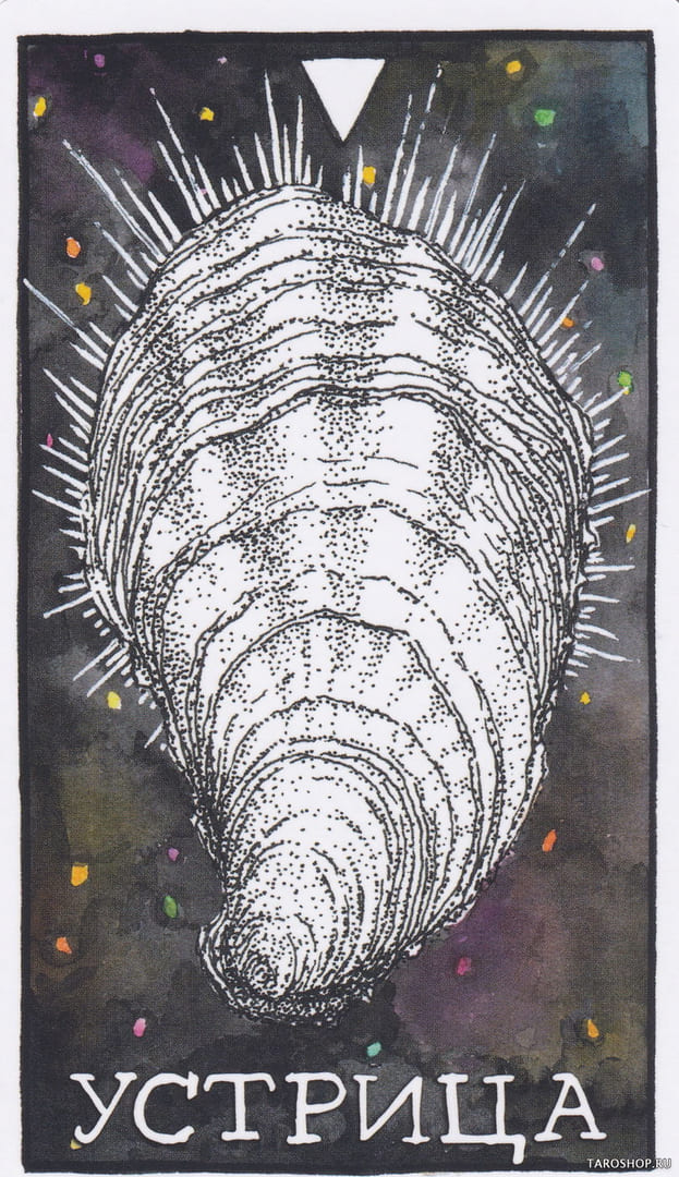 7 Устрица (Вода)