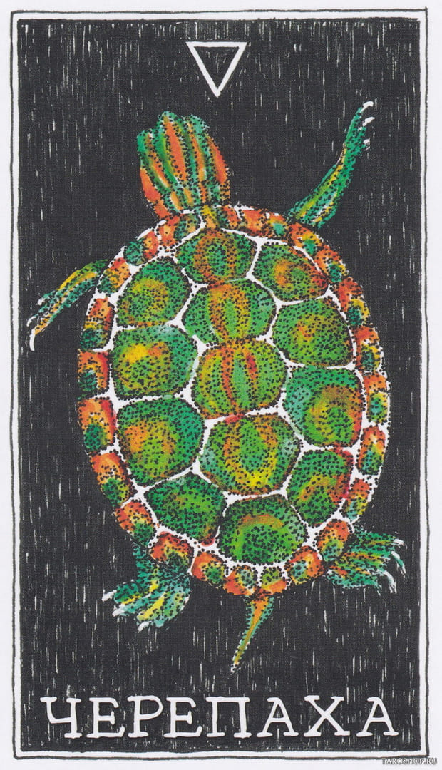 8 Черепаха (Вода)