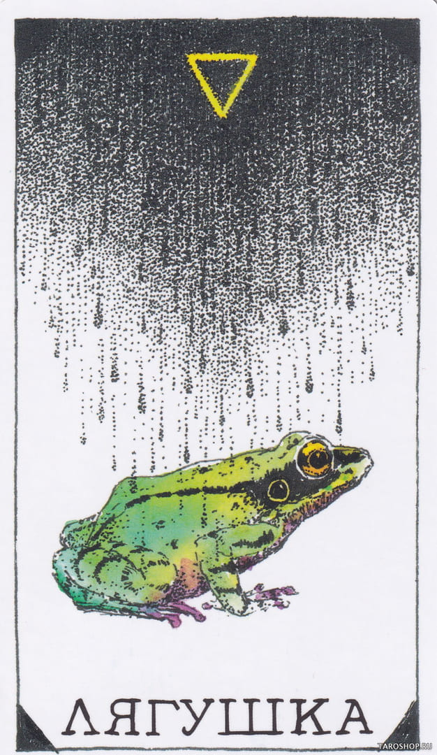 9 Лягушка (Вода) — Дикое Неизвестное