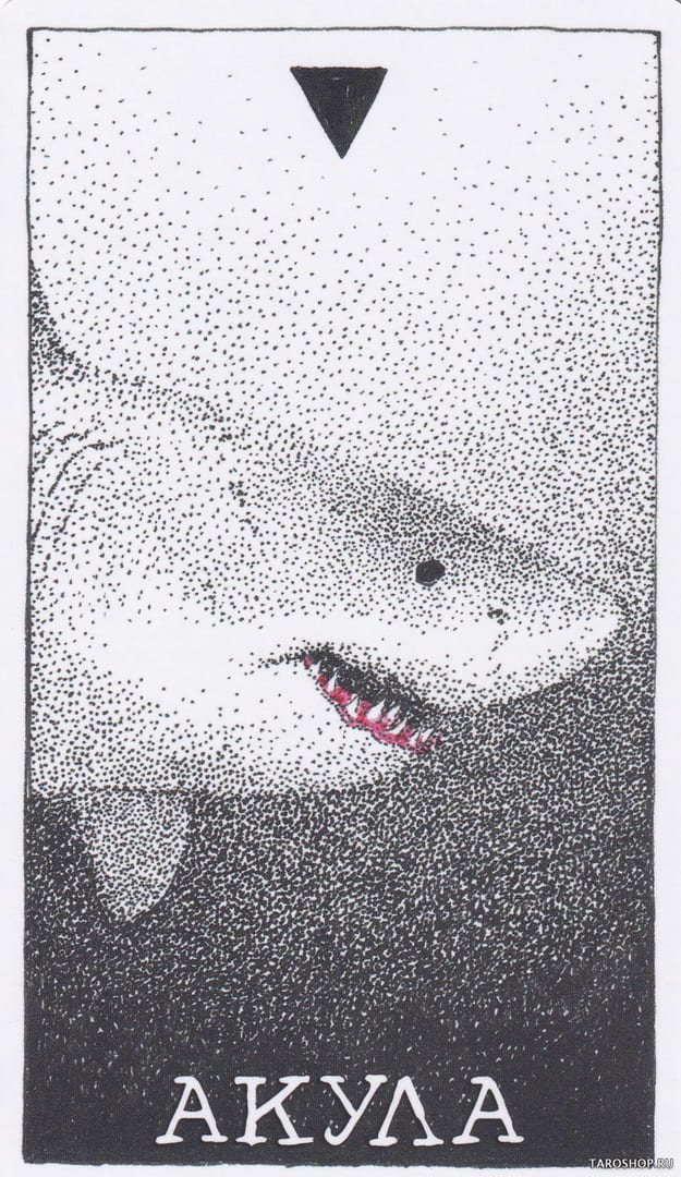 11 Акула (Вода) — Дикое Неизвестное Тотемное Животное