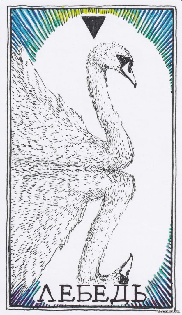 12 Лебедь (Вода) — Дикое Неизвестное Тотемное Животное