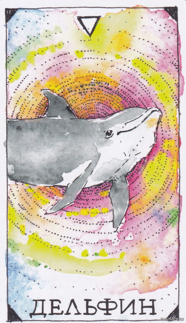 13 Дельфин (Вода)